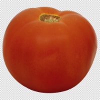 Red Tomatoes