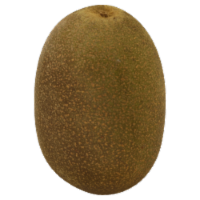 Golden New Zealand Kiwi