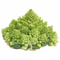 Romanesco Broccoli
