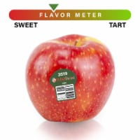 Large WildTwist® Apple - Each Perspective: Main