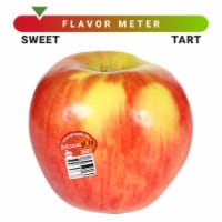 Autumn Glory Apple - Each Perspective: Main