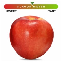 Large SweeTango Apple - Each Perspective: Main