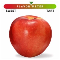 Large SweeTango Apple - Each Perspective: Main