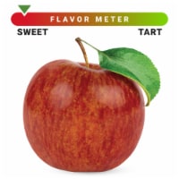 Large Kiku Apple - Each Perspective: Main