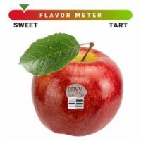 Large Organic Opal Apple, 1 lb - Harris Teeter