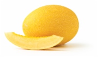 Hami Melon Perspective: Main