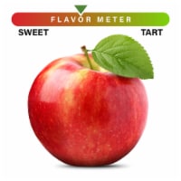 Small Red Delicious Apple – Each Perspective: Main