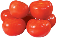 Red Tomatoes