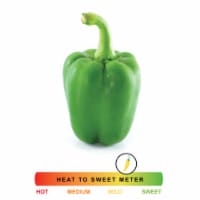 Large Green Bell Pepper