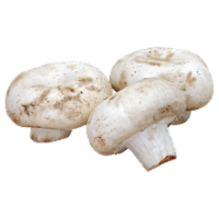 White Mushrooms