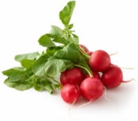 Green Top Red Radishes 1 Bunch