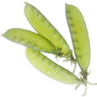 Snow Peas