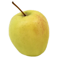 Large Ginger Gold Apples