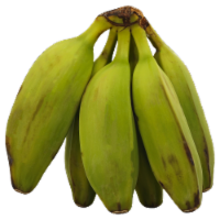 Frieda's Burro Bananas