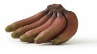 Red Bananas