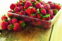 Strawberry Large Cup