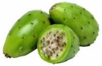 Prickly Cactus Pear
