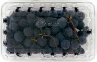 Seedless Concord Grapes