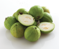 Guava Perspective: Main