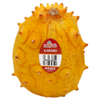 Horned Kiwano Melon