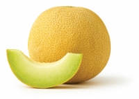 Galia Melon