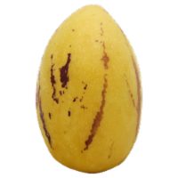 Pepino Melon