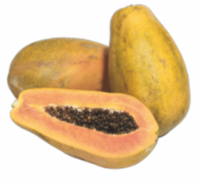 Carribean Red Papaya Perspective: Main