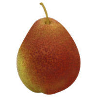 Forelle Pear
