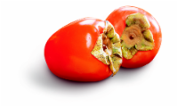 Hachiya Persimmon Perspective: Main