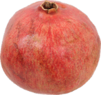 Small Pomegranate