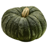 Fresh Grown Heirloom Pumpkins - Each