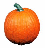 Pumpkin Perspective: Main