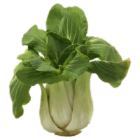 Baby Bok Choy