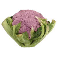 Purple Cauliflower