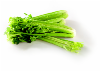 Celery Sticks