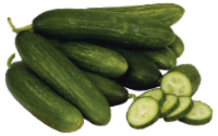 Persian Cucumber