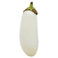 White Eggplant