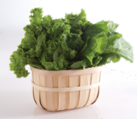 Flat Mustard Greens