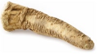 Horseradish Root