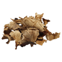 Chanterelle Mushrooms