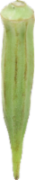 Chinese Okra