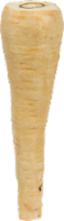 Parsnip