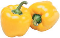 Yellow Bell Pepper