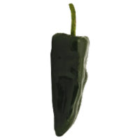 Pasilla Peppers