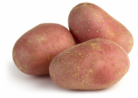Red Creamer Potatoes