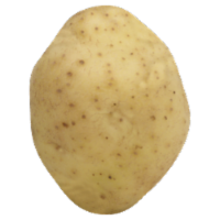 White Creamer Potatoes