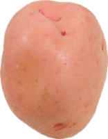 Red Potatoes
