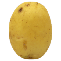 Seed Potatoes