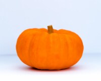 Mini Pumpkins (Up to 1 lb)