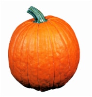 Fresh Grown Large Pumpkins (Up to 19 lbs) - Each